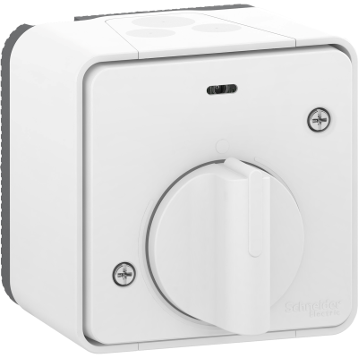 MUREVA BLANC SAILLIE INTER.TEMPORISE IP55 IK07 COMPLET