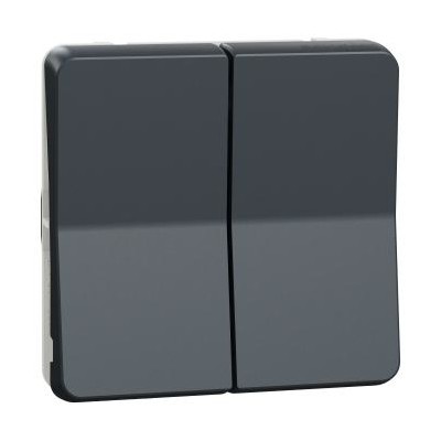MUREVA ANTHRACITE COMPOSABLE DOUBLE VA ET VIENT IP55 IK07