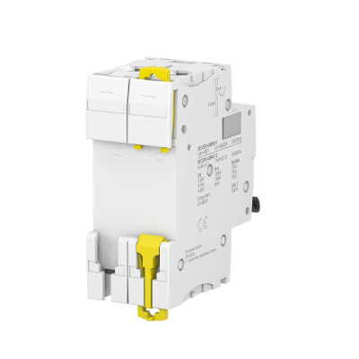 IC60N 2P 06A C 6KA