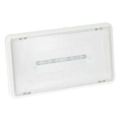 BLOC SECOURS POUR SOURCE LEGRAND EVACUATION LED 45LM IP43 24VDC