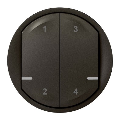 CELIANE WITH NETATMO GRAPHITE ENJOLIVEUR COMMANDE SANS FIL 4 SCENARIO