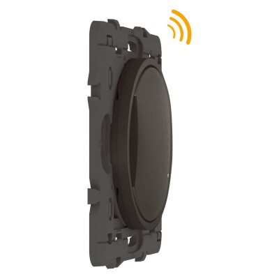 CELIANE WITH NETATMO GRAPHITE COMMANDE SANS FIL s/plaque