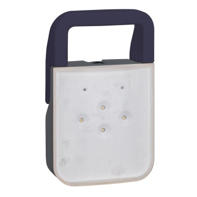 BLOC SECOURS PORTABLE BAPI LEGRAND 100LM IP55 IK08