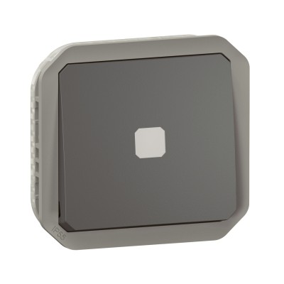 PLEXO ANTHRACITE INTER TEMPORISE LUMINEUX IP55 IK08 - COMPOSABLE