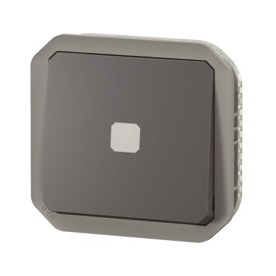 PLEXO ANTHRACITE INTER TEMPORISE LUMINEUX IP55 IK08 - COMPOSABLE