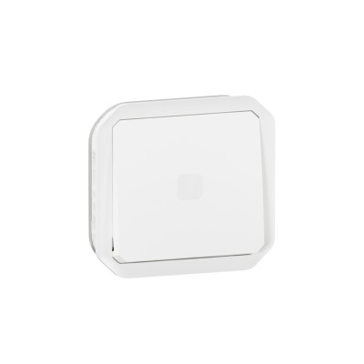 PLEXO BLANC INTER TEMPORISE LUMINEUX IP55 IK08 - COMPOSABLE