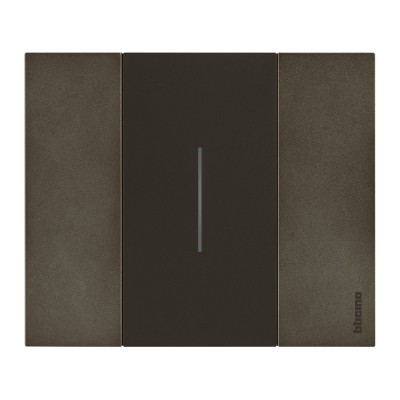 LIVING NOW NOIR ENJOLIVEUR COMMANDE D'ECLAIRAGE 2 MODULES