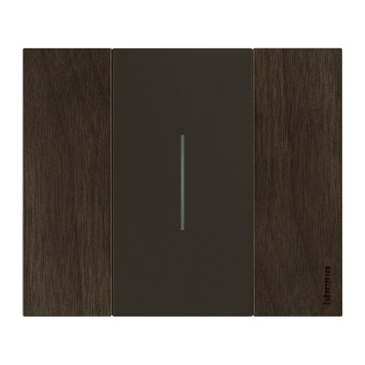 LIVING NOW NOIR ENJOLIVEUR COMMANDE D'ECLAIRAGE 2 MODULES