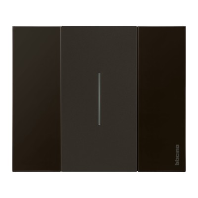 LIVING NOW NOIR ENJOLIVEUR COMMANDE D'ECLAIRAGE 2 MODULES